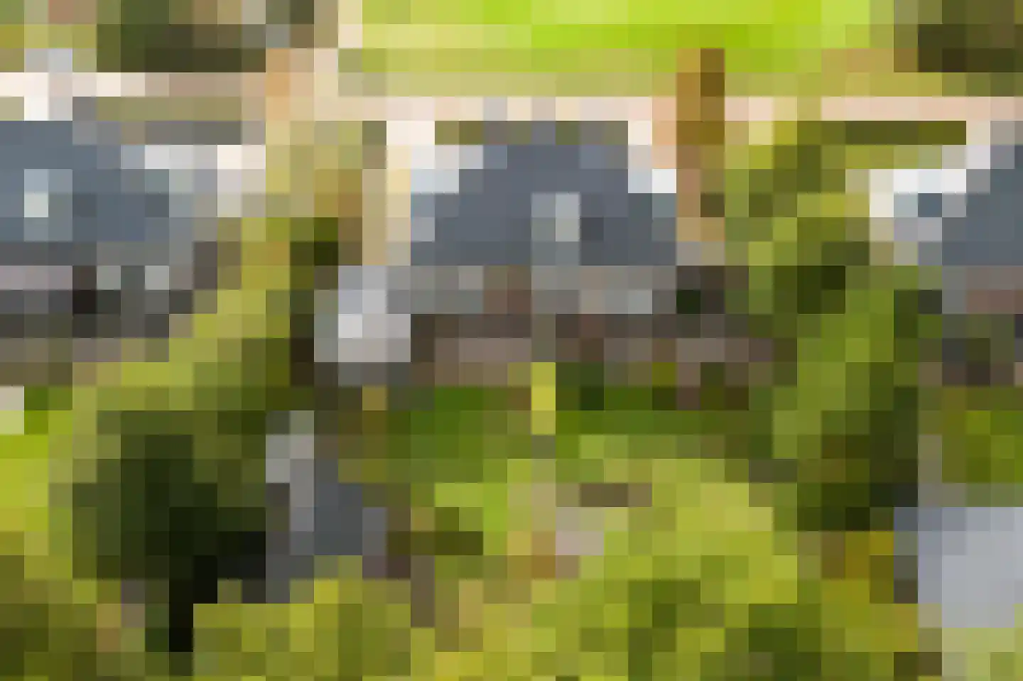 Zwaai 8 Appelscha foto 3