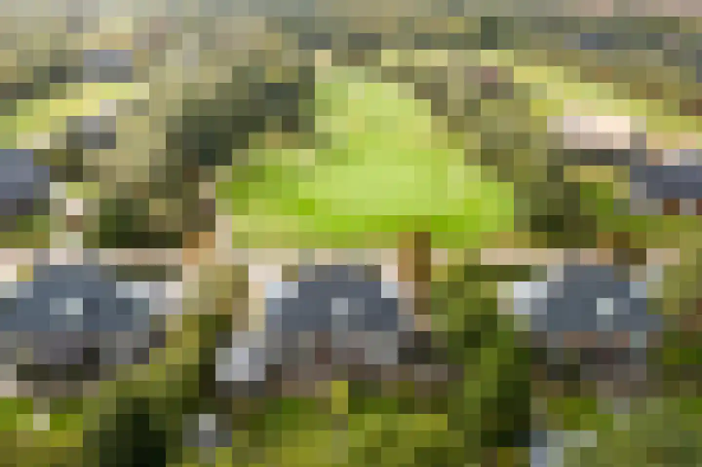 Zwaai 8 Appelscha thumbnail 30