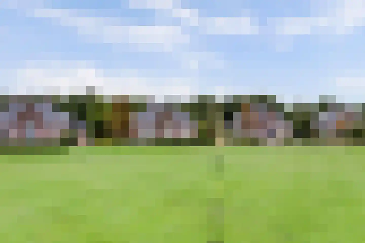 Zwaai 8 Appelscha thumbnail 4