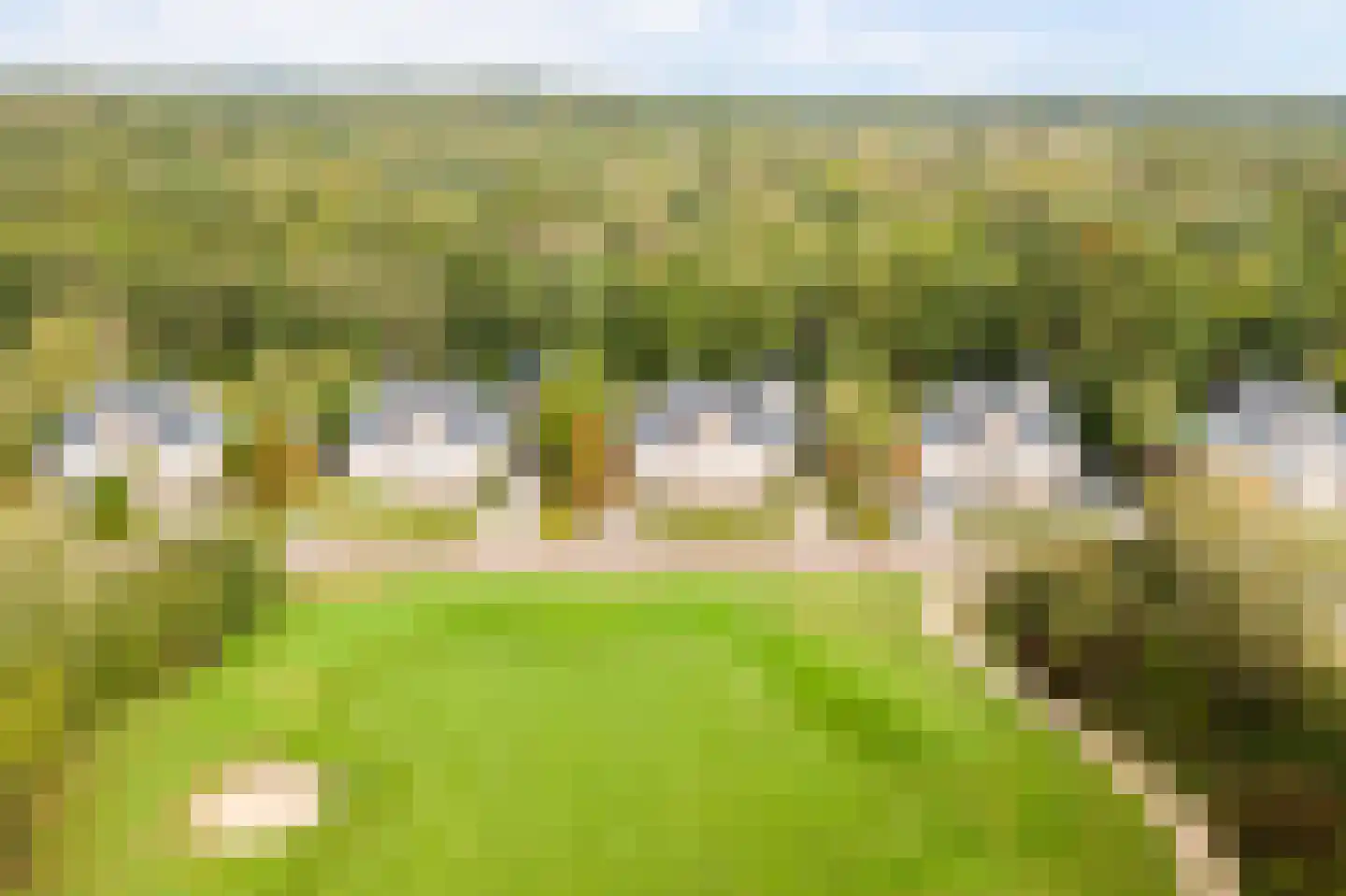 Zwaai 8 Appelscha thumbnail 5