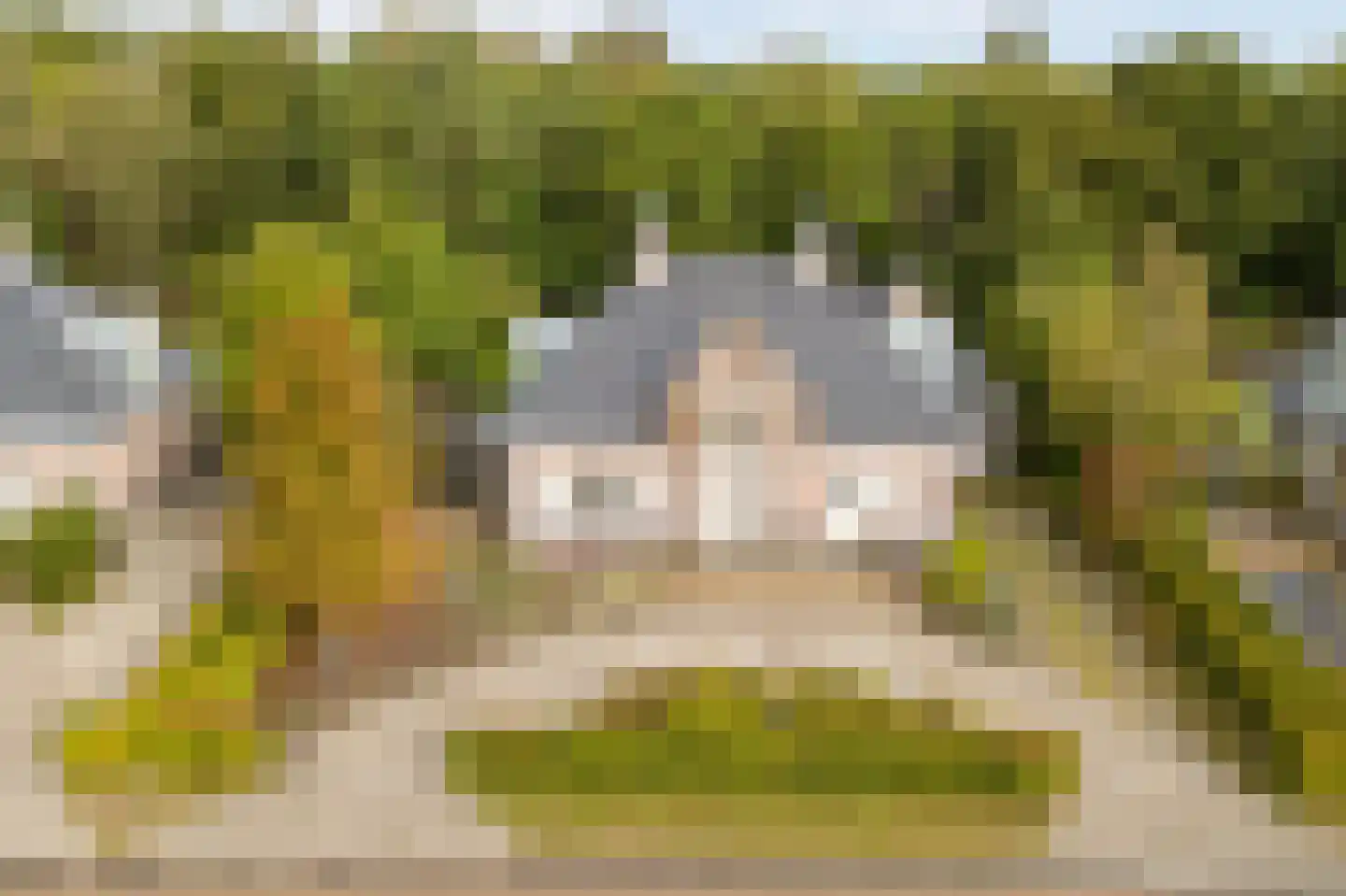 Zwaai 8 Appelscha thumbnail 6