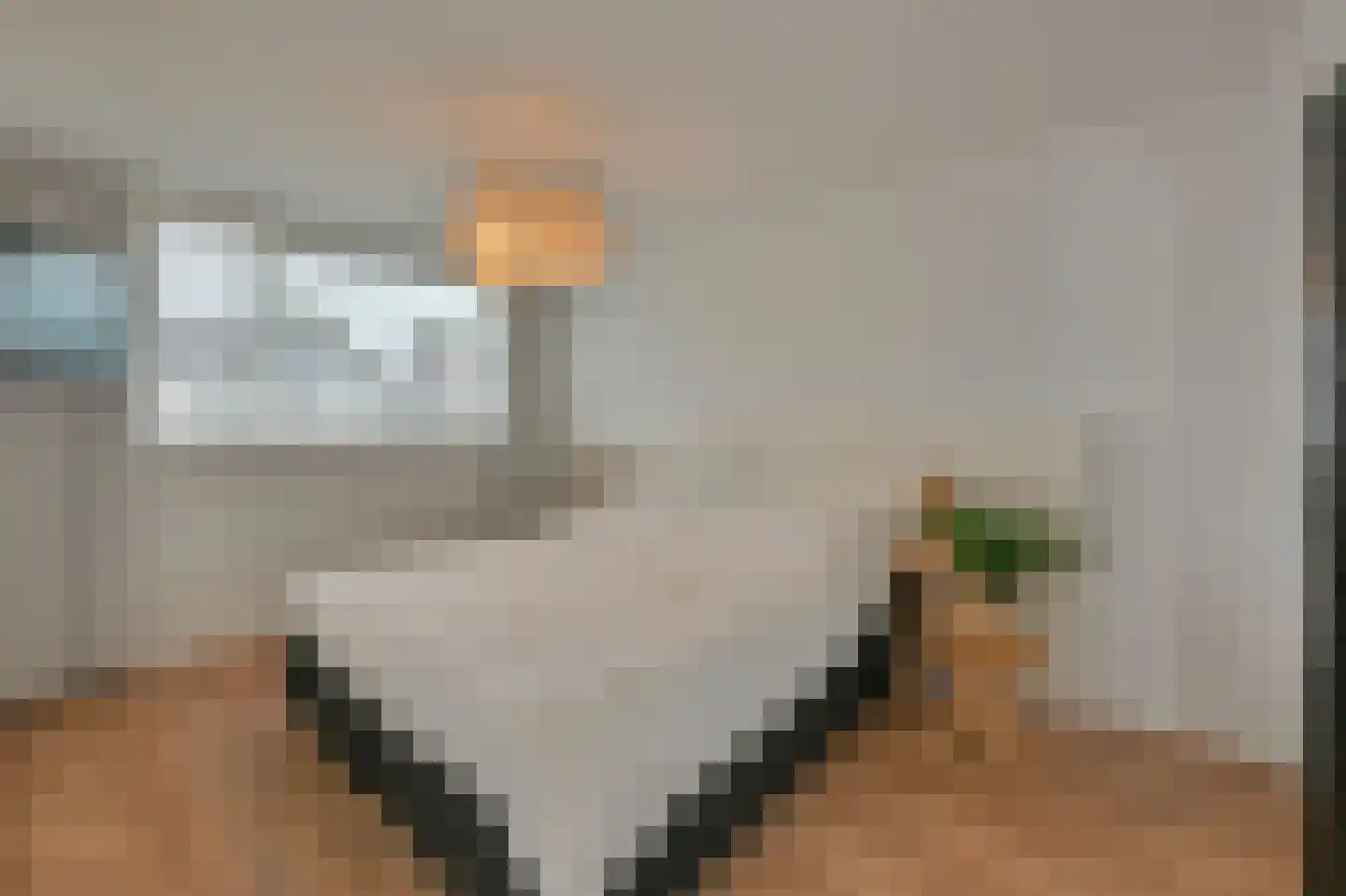 Zwaan 16 Mijdrecht thumbnail 13