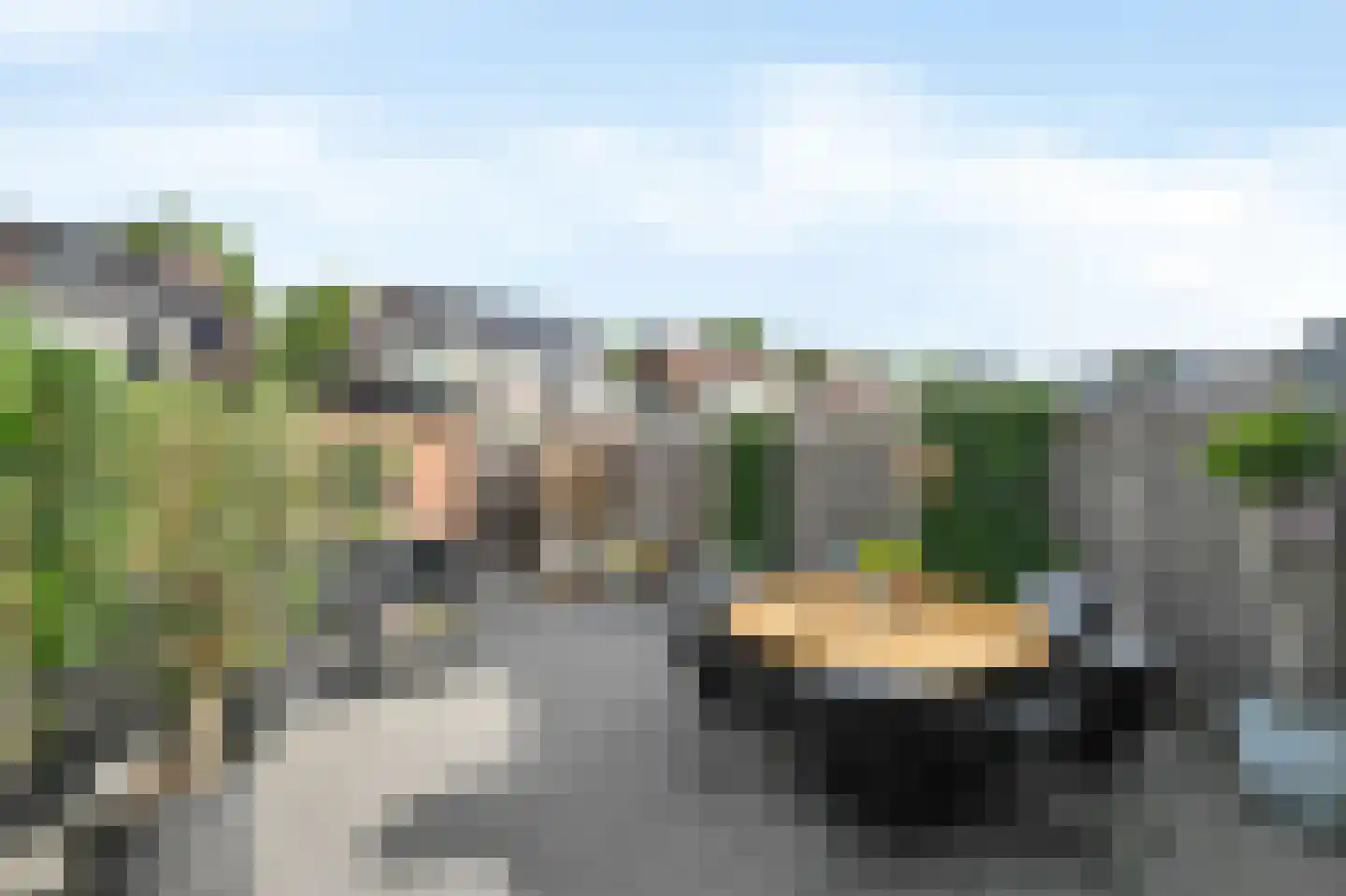 Zwaan 16 Mijdrecht thumbnail 25