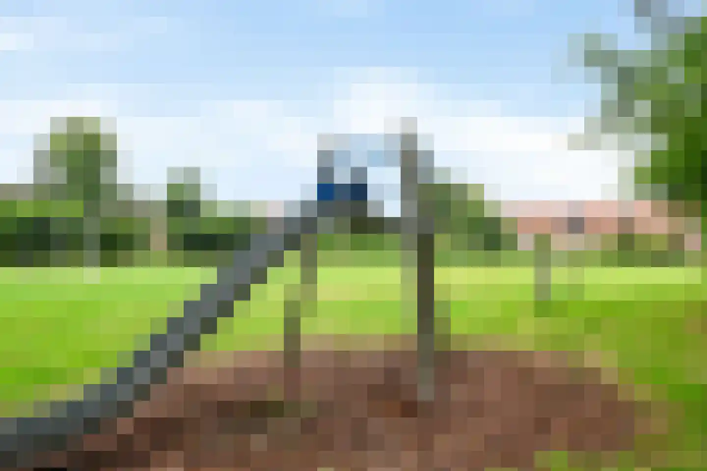 Zwaan 16 Mijdrecht thumbnail 31