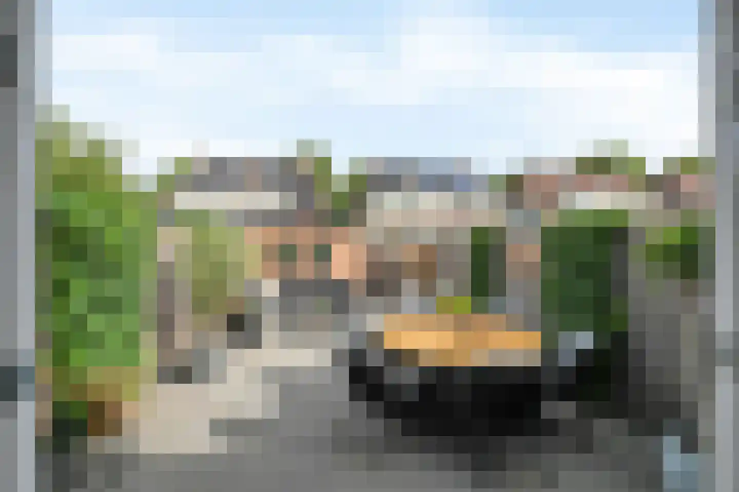 Zwaan 16 Mijdrecht thumbnail 4