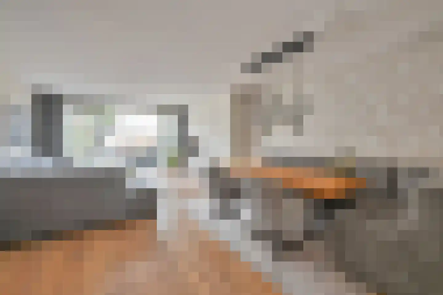 Zwaan 16 Mijdrecht thumbnail 8