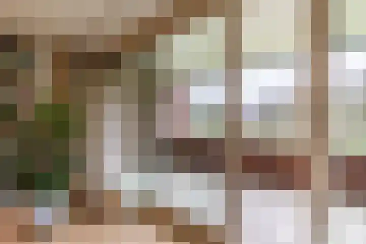Zwaan 2 Groningen thumbnail 15