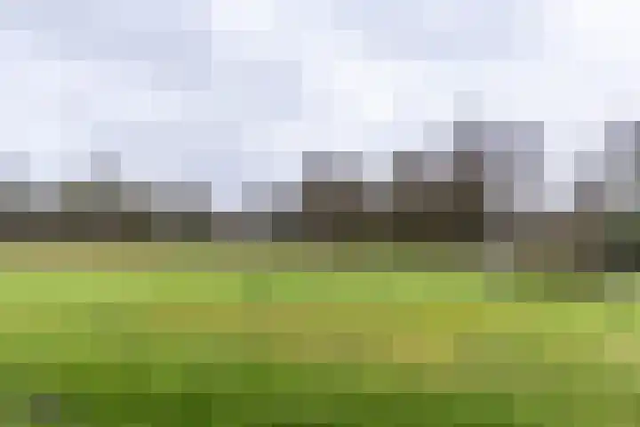 Zwaan 2 Groningen thumbnail 19