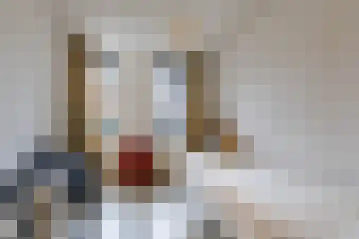 Zwaan 2 Groningen thumbnail 29