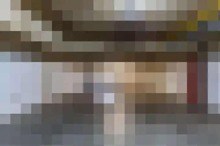 Zwaan 2 Groningen thumbnail 34