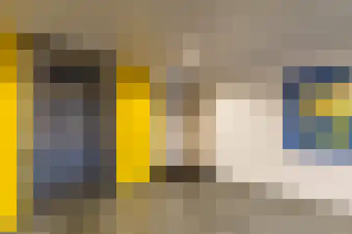 Zwaan 2 Groningen thumbnail 6