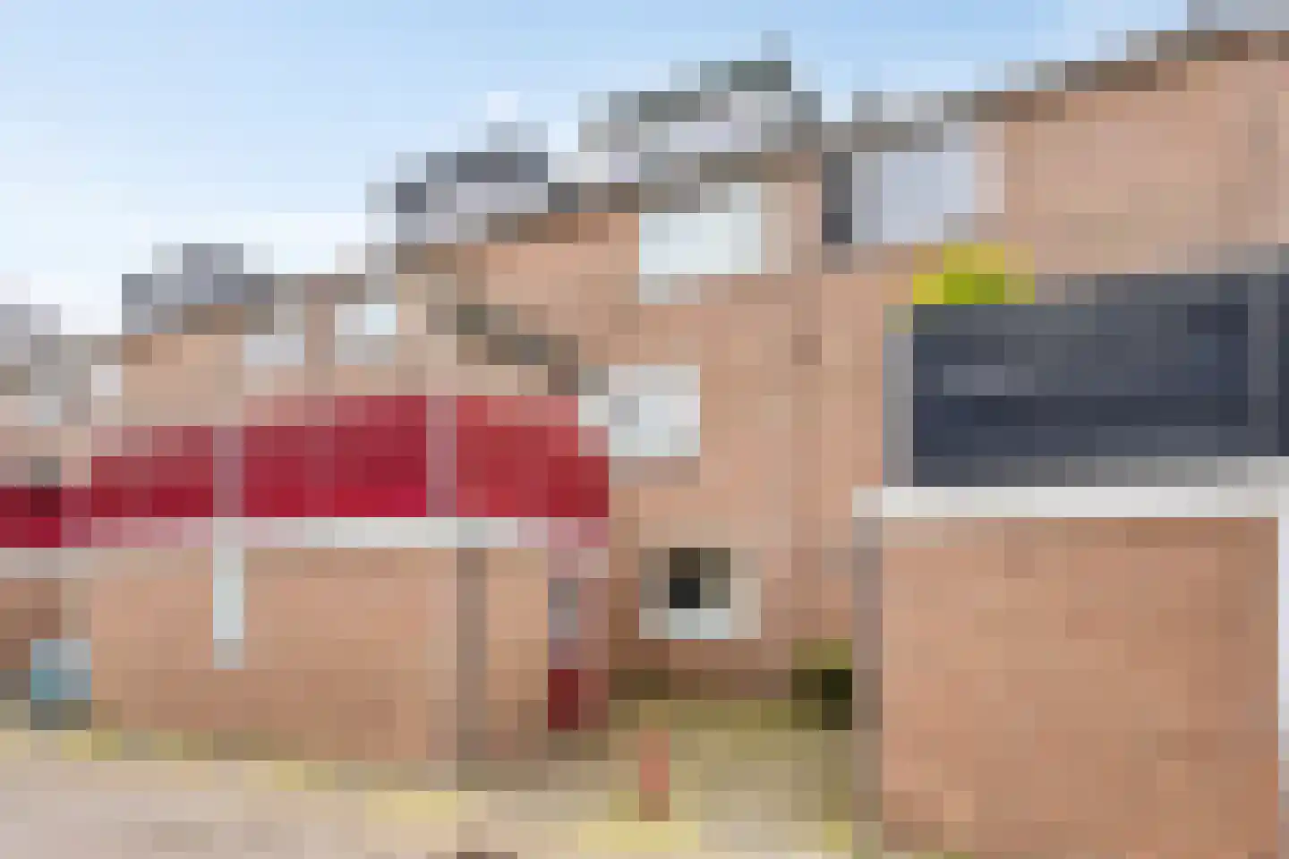 Zwaan 21 Zoeterwoude