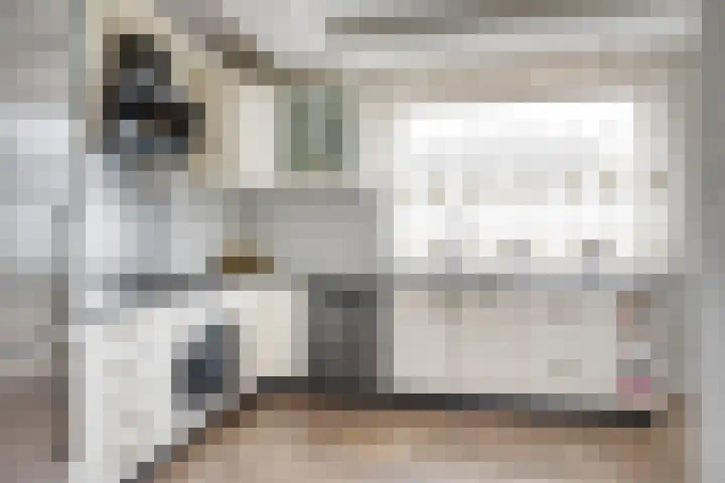 Zwaan 21 Zoeterwoude thumbnail 11