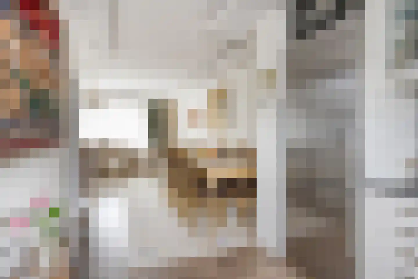 Zwaan 21 Zoeterwoude thumbnail 13