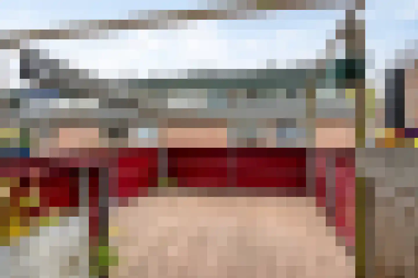 Zwaan 21 Zoeterwoude thumbnail 14