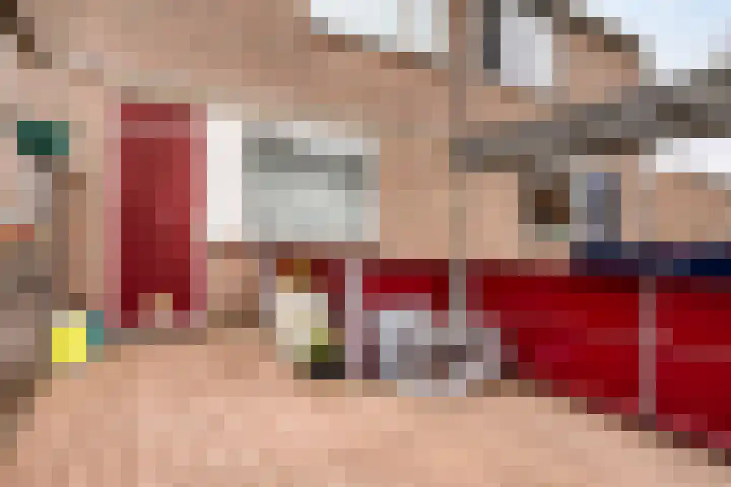 Zwaan 21 Zoeterwoude thumbnail 15