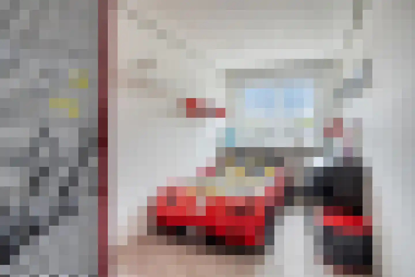 Zwaan 21 Zoeterwoude thumbnail 16