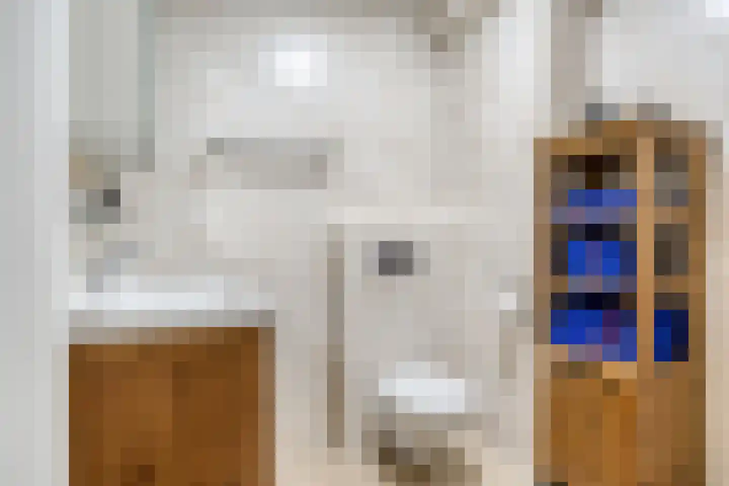 Zwaan 21 Zoeterwoude thumbnail 19