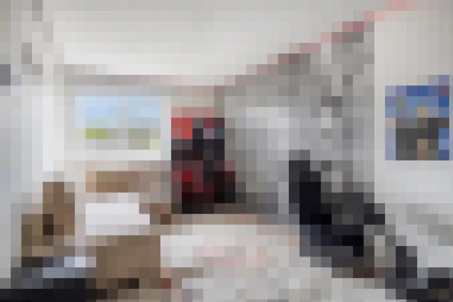 Zwaan 21 Zoeterwoude thumbnail 22