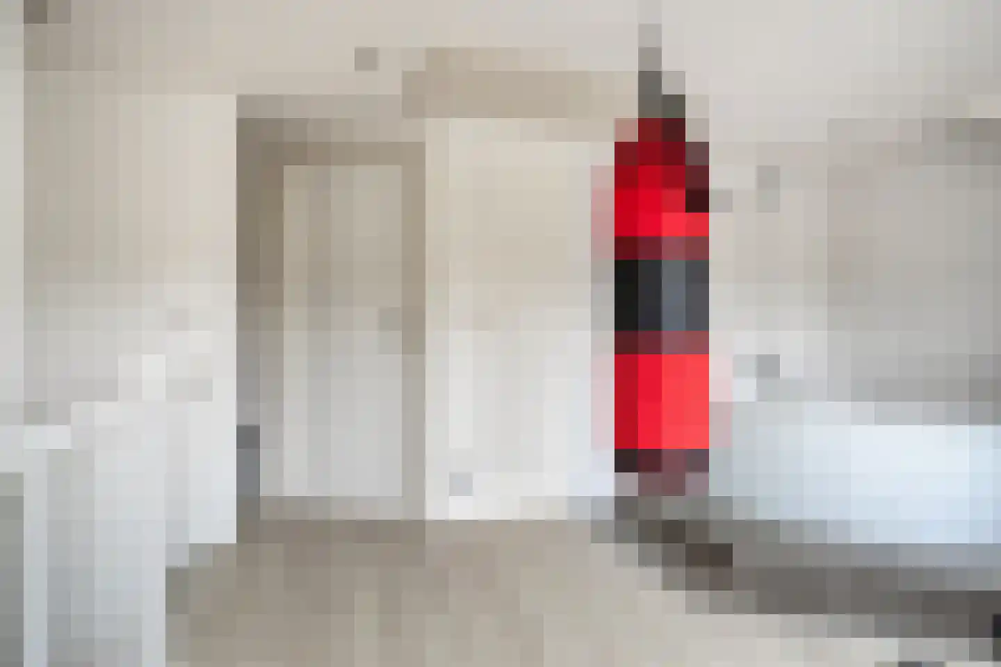 Zwaan 21 Zoeterwoude thumbnail 25