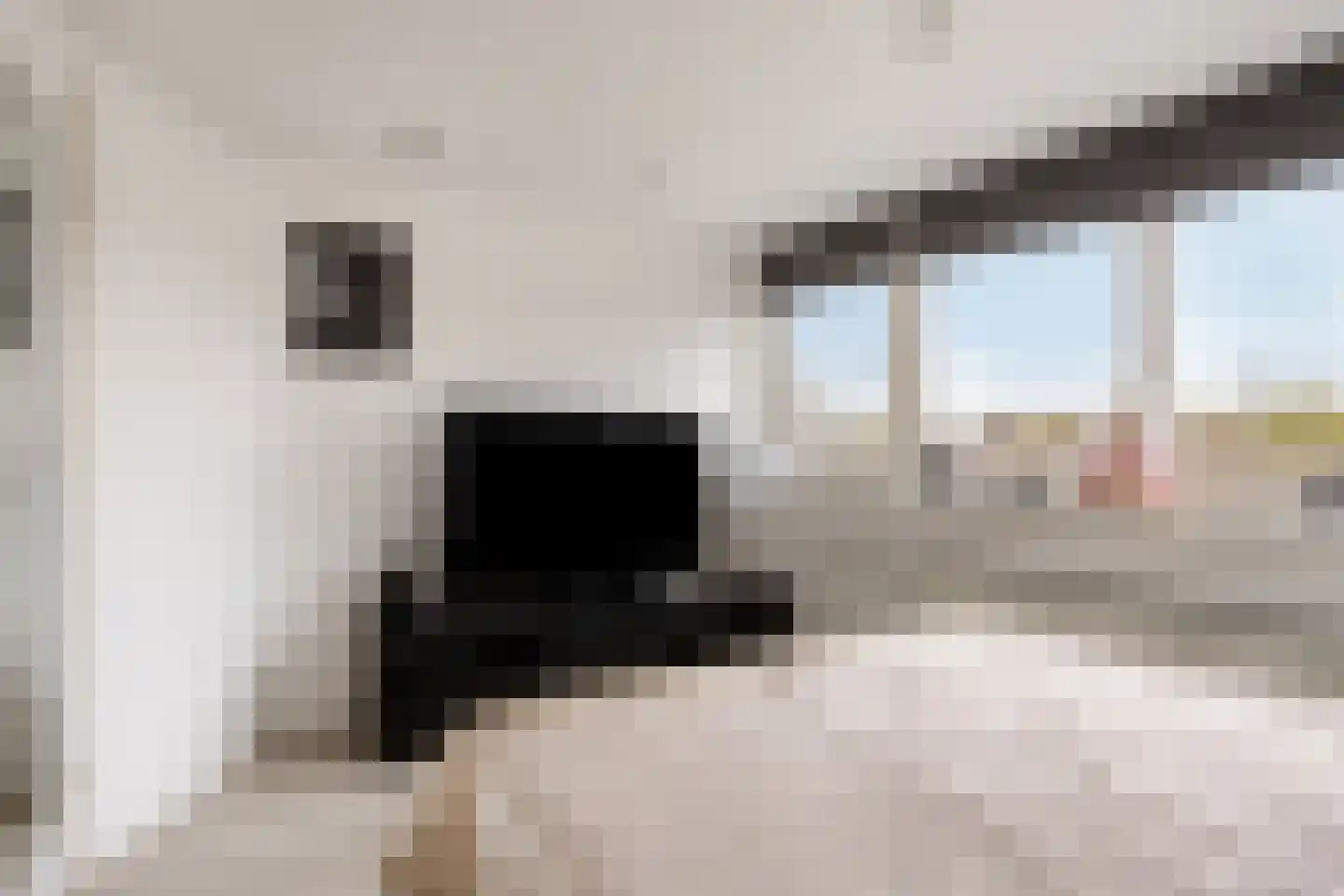 Zwaan 21 Zoeterwoude thumbnail 27