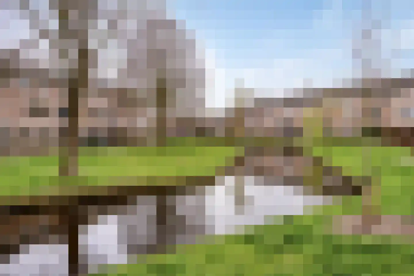 Zwaan 21 Zoeterwoude thumbnail 29
