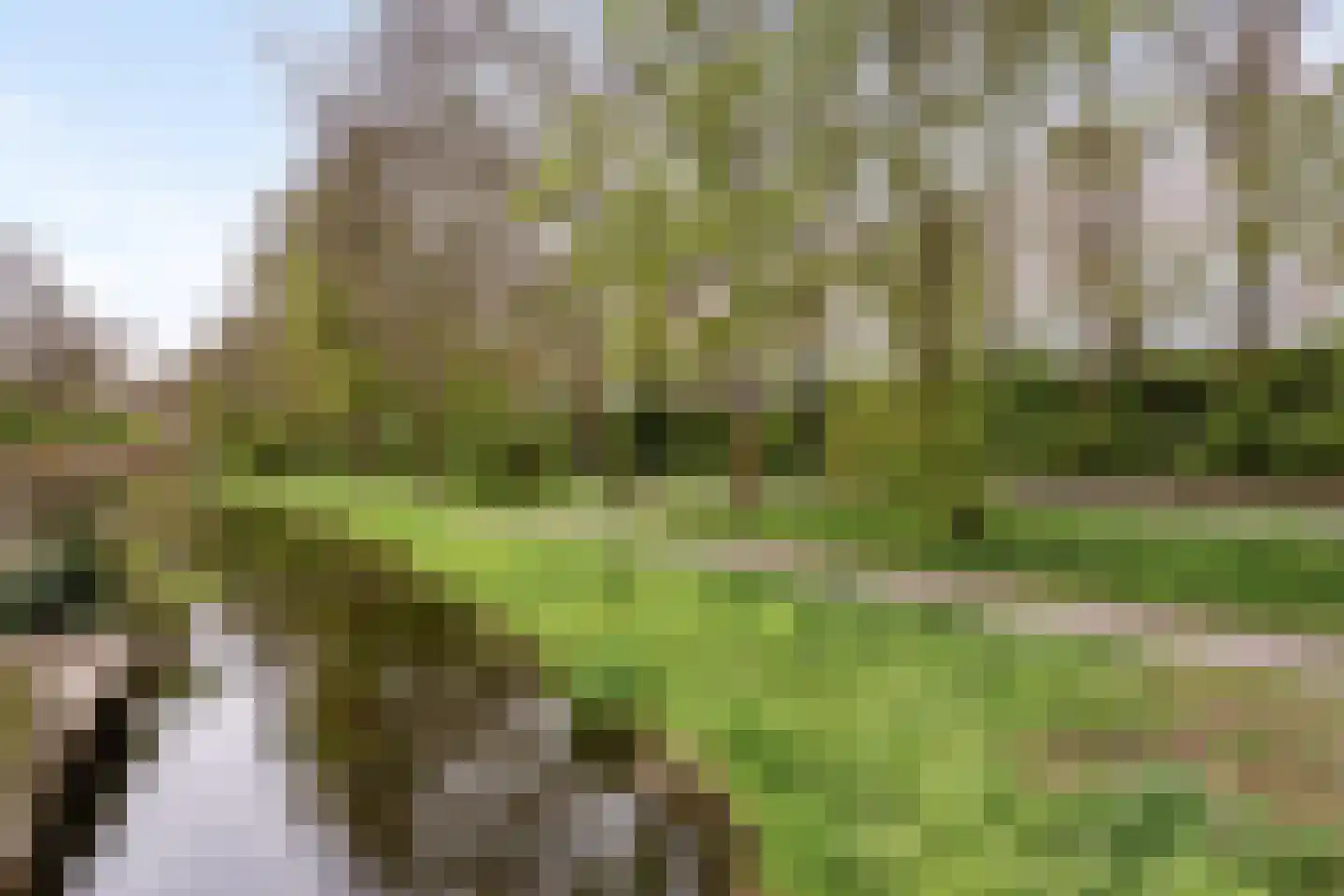 Zwaan 21 Zoeterwoude thumbnail 30