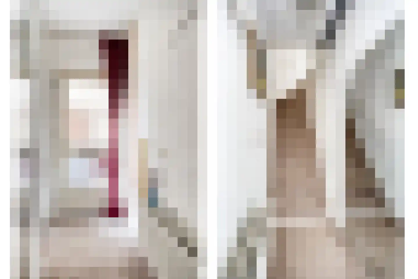 Zwaan 21 Zoeterwoude thumbnail 4