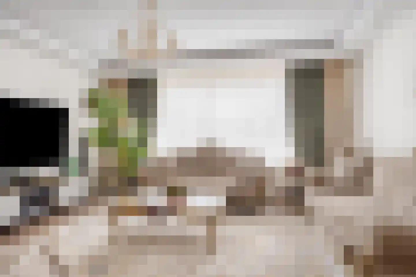 Zwaan 21 Zoeterwoude thumbnail 6