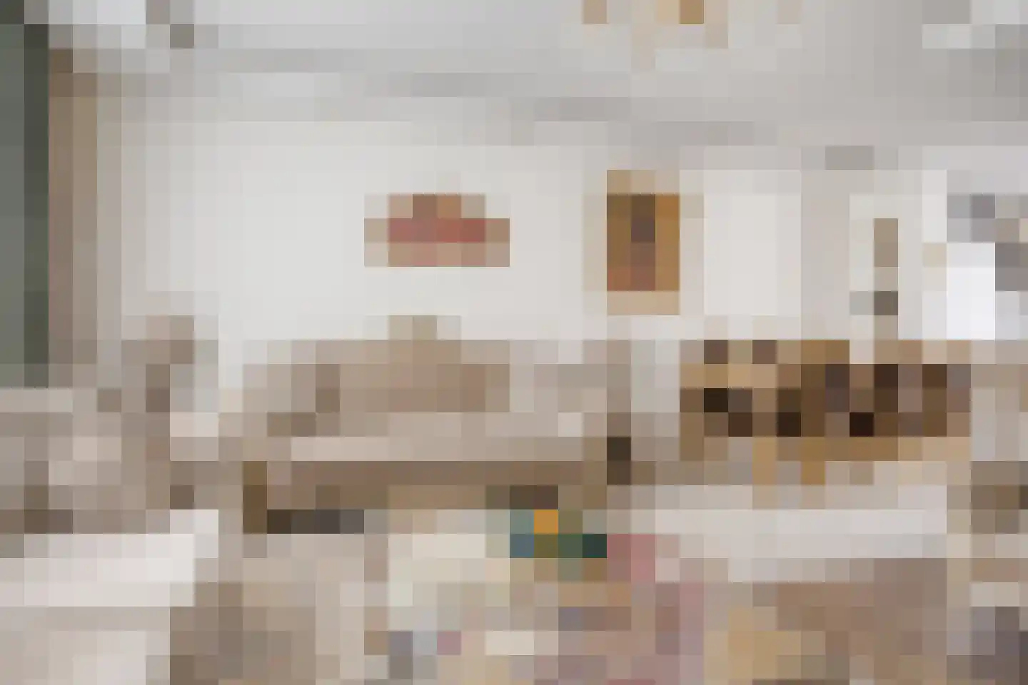 Zwaan 21 Zoeterwoude thumbnail 7