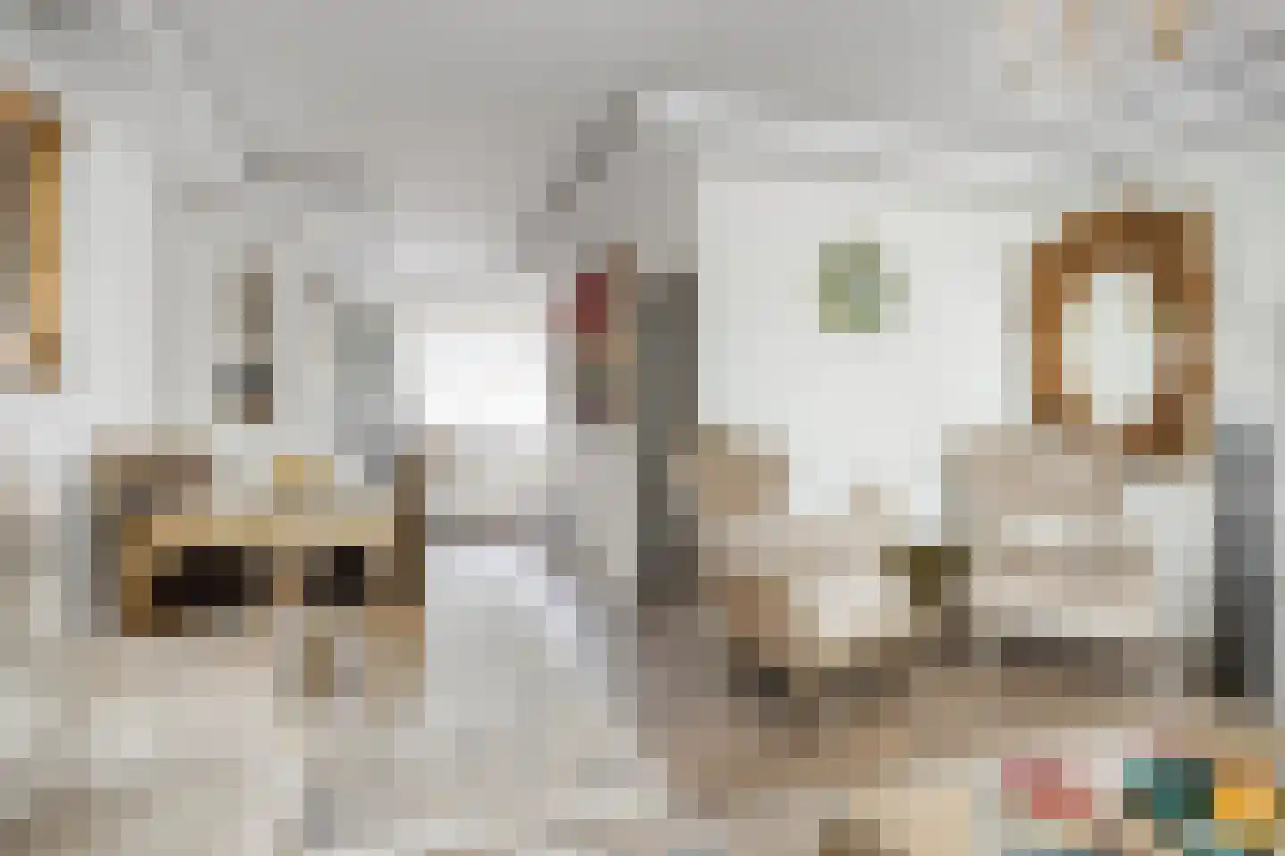 Zwaan 21 Zoeterwoude thumbnail 8