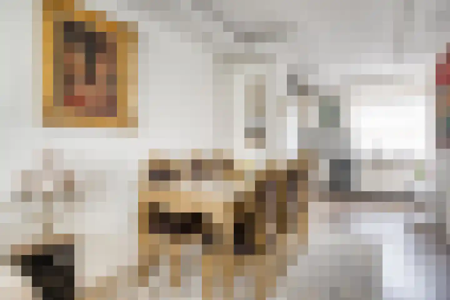 Zwaan 21 Zoeterwoude thumbnail 9