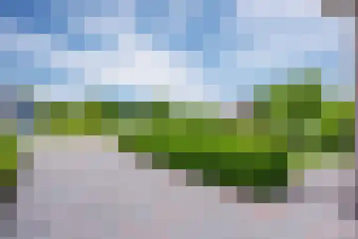 Zwaan 28 Grootegast thumbnail 10