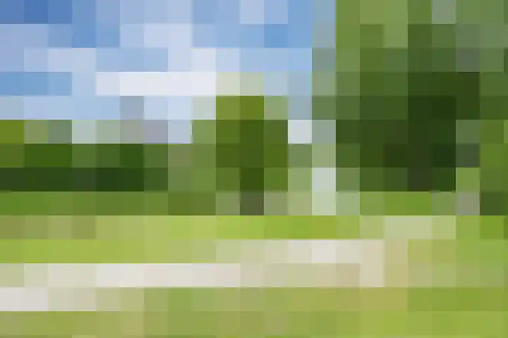 Zwaan 28 Grootegast thumbnail 11