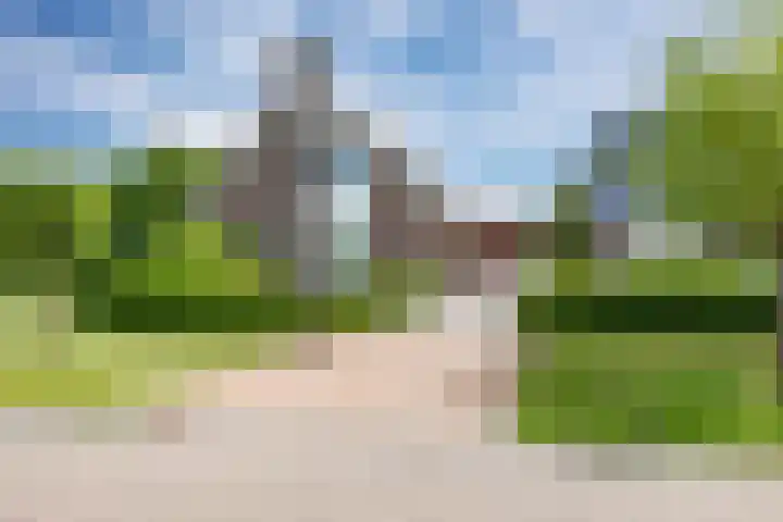 Zwaan 28 Grootegast thumbnail 13
