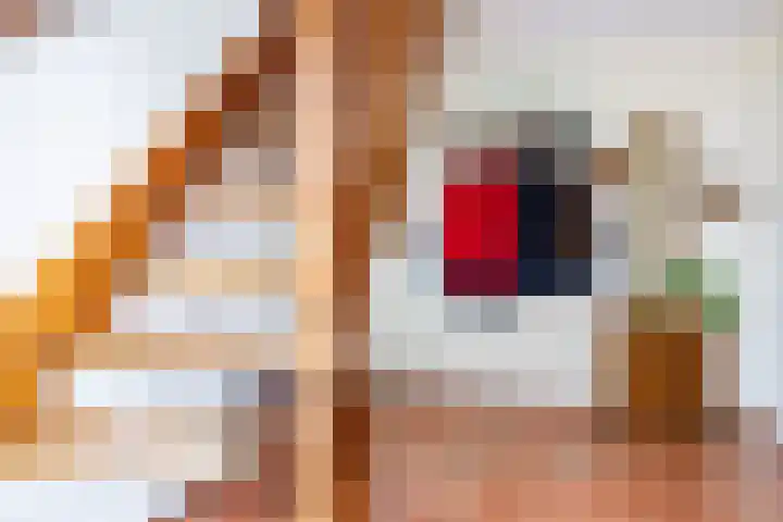 Zwaan 28 Grootegast thumbnail 15