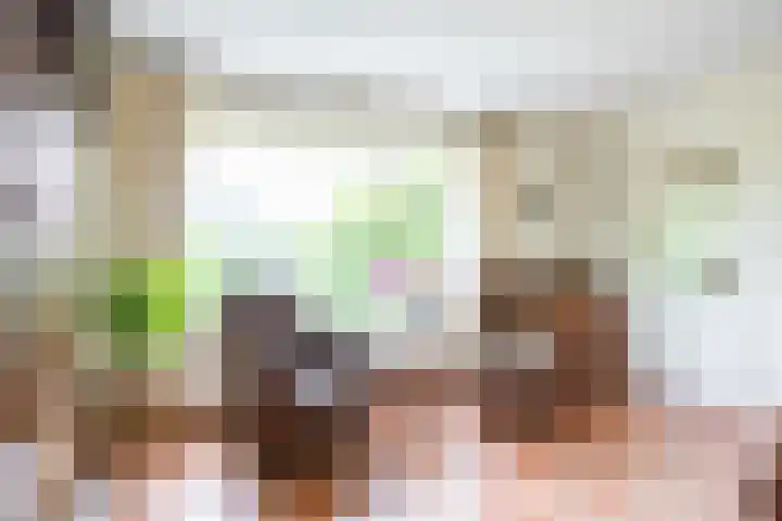 Zwaan 28 Grootegast thumbnail 20