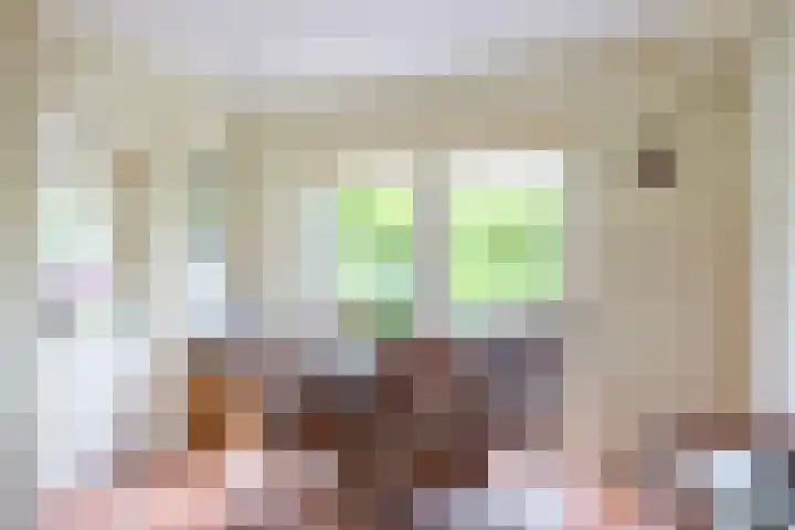 Zwaan 28 Grootegast thumbnail 27