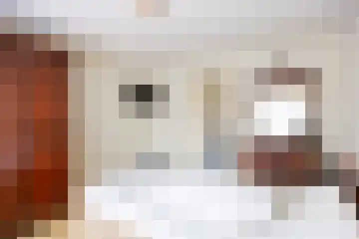 Zwaan 28 Grootegast thumbnail 30