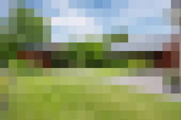Zwaan 28 Grootegast thumbnail 43