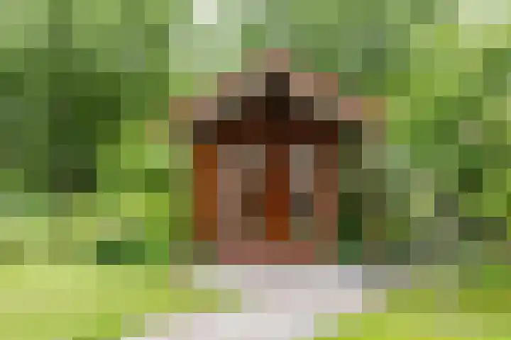 Zwaan 28 Grootegast thumbnail 44