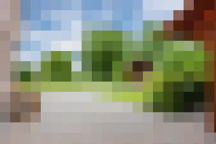 Zwaan 28 Grootegast thumbnail 45