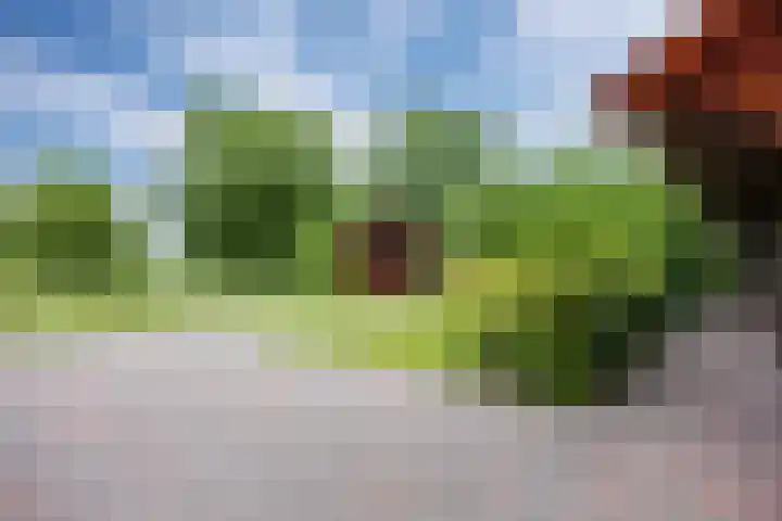 Zwaan 28 Grootegast thumbnail 46