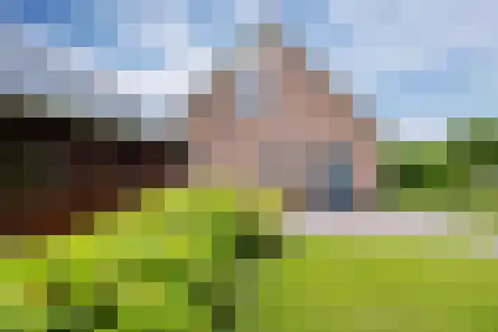 Zwaan 28 Grootegast thumbnail 47