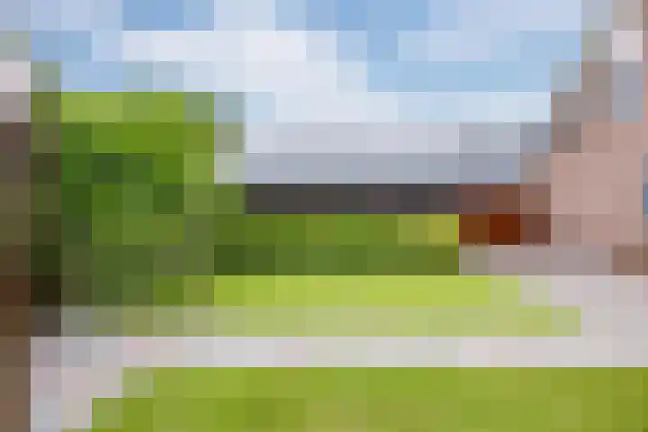 Zwaan 28 Grootegast thumbnail 49