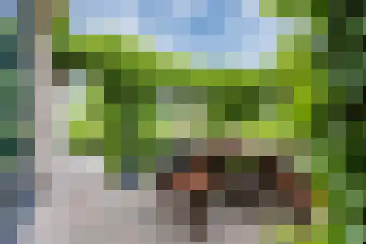 Zwaan 28 Grootegast thumbnail 52