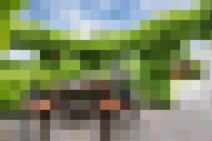 Zwaan 28 Grootegast thumbnail 53