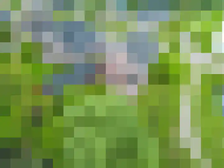 Zwaan 28 Grootegast thumbnail 56