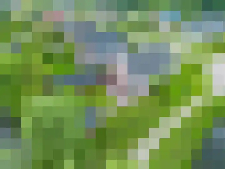 Zwaan 28 Grootegast thumbnail 57