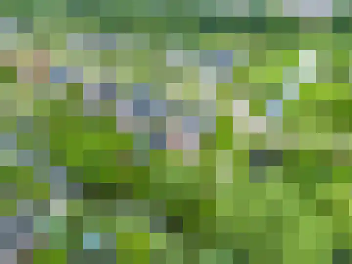 Zwaan 28 Grootegast thumbnail 58